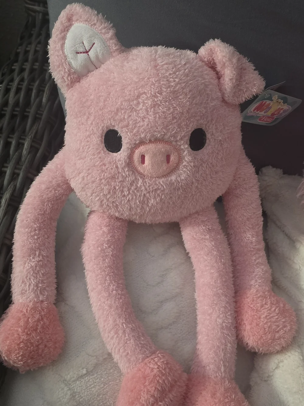 Fiesta Plush Pink Pig and Bird Small Pet Toys